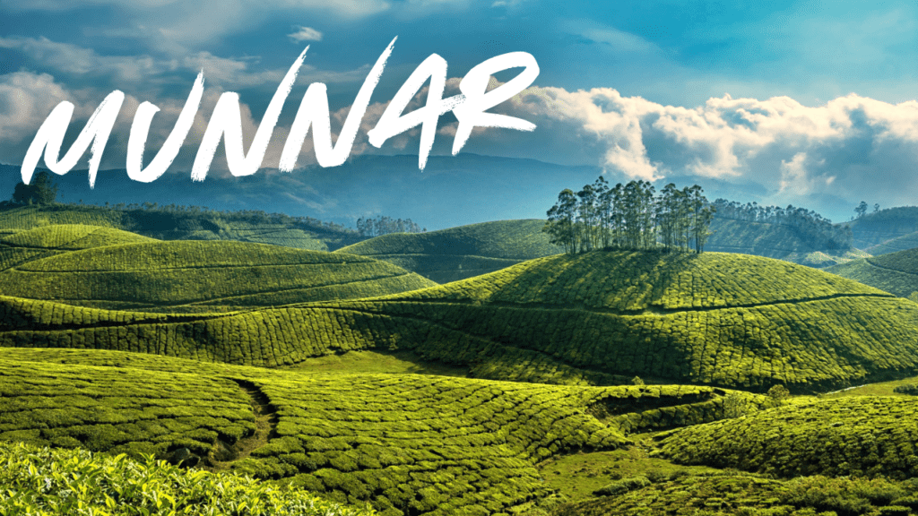 munnar places to visit in one day