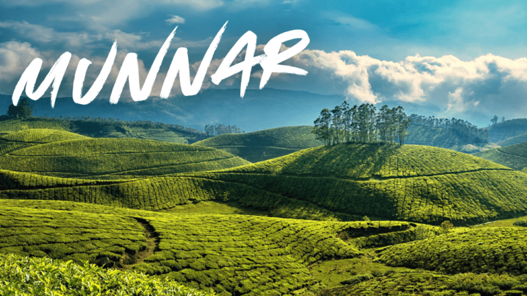 munnar places to visit in one day